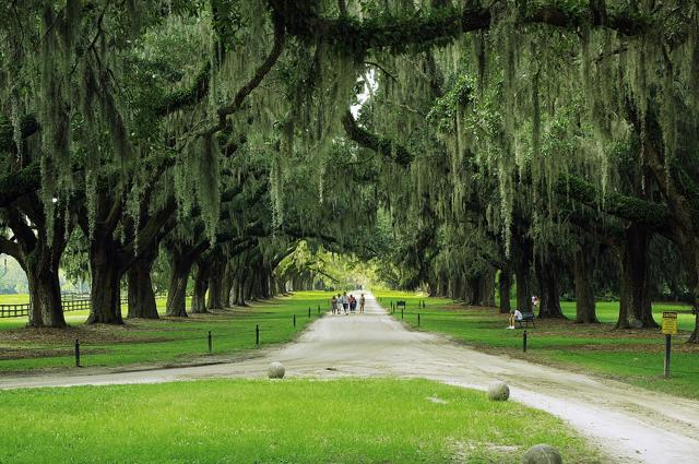 Boone Hall